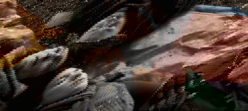Backdrop of Ditching