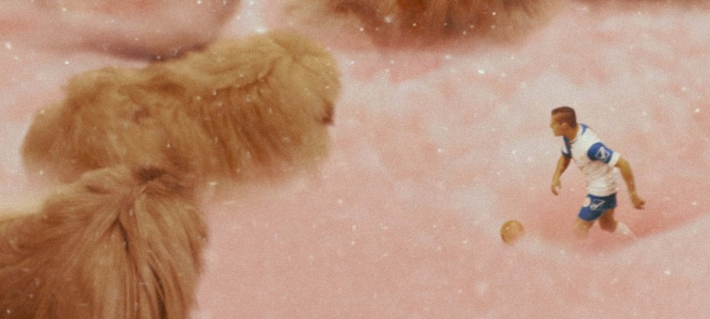 Backdrop of Diamantino