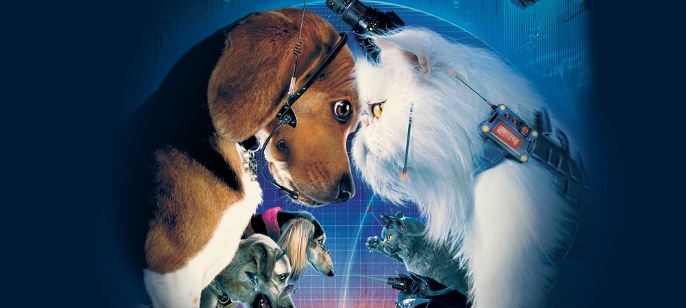 Backdrop of Cats & Dogs