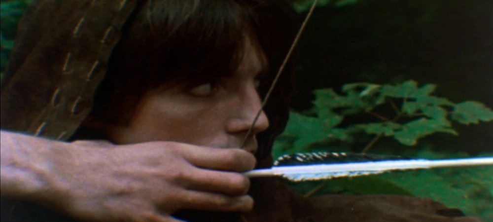 Backdrop of Robin of Sherwood