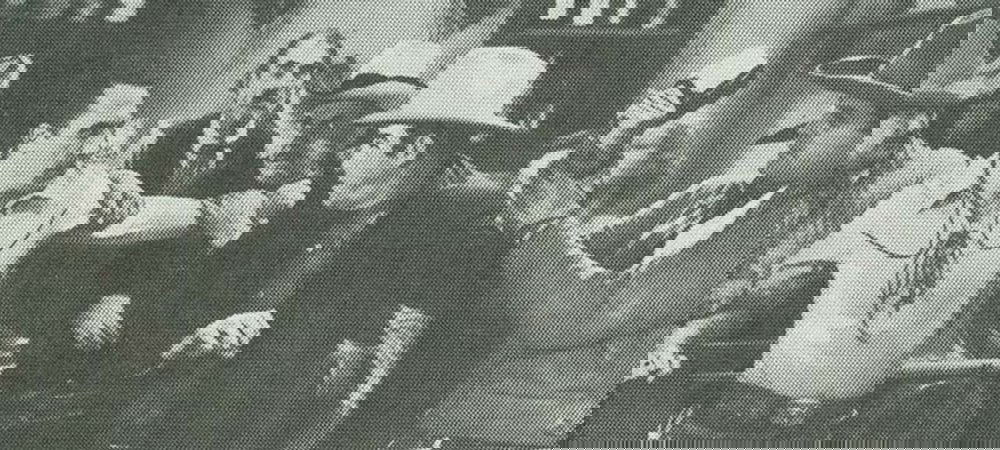 Backdrop of Fast Bullets