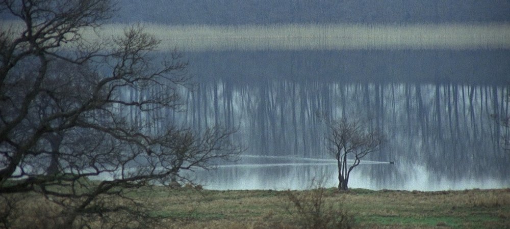 Backdrop of The New Land