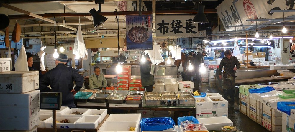 Backdrop of Trails to Tsukiji