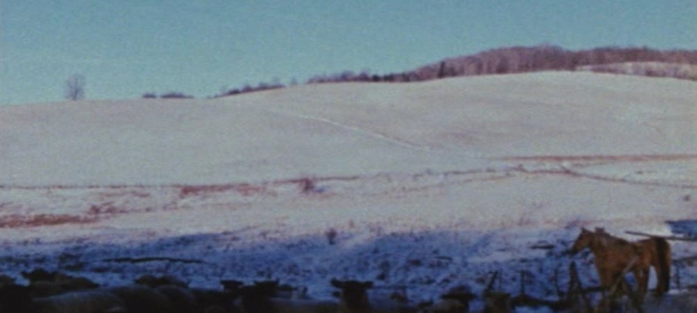 Backdrop of Horizons