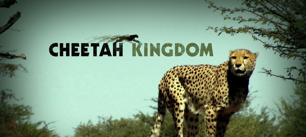 Backdrop of Cheetah Kingdom