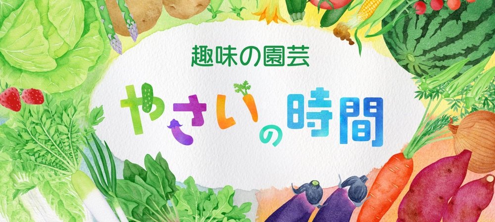Backdrop of 趣味の園芸 やさいの時間