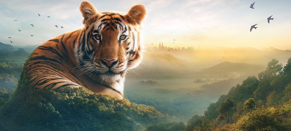 Backdrop of Asia