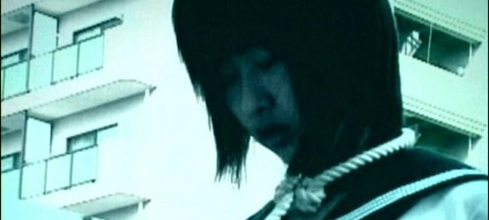 Backdrop of Suicide Net