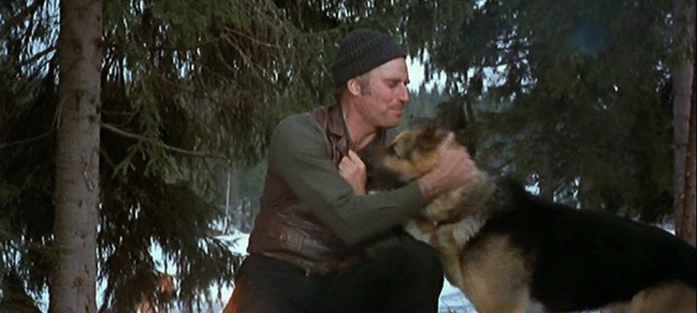 Backdrop of The Call of the Wild