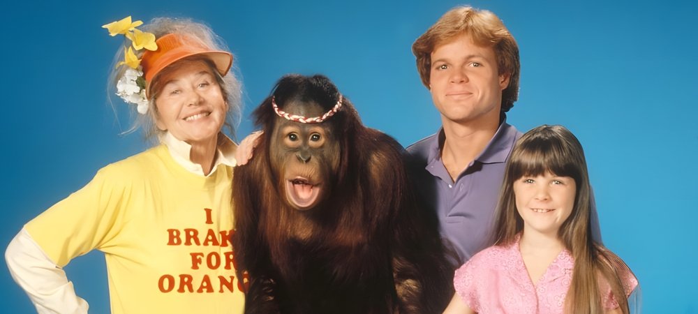 Backdrop of Going Bananas