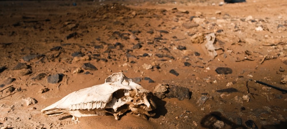 Backdrop of Life at 50°C
