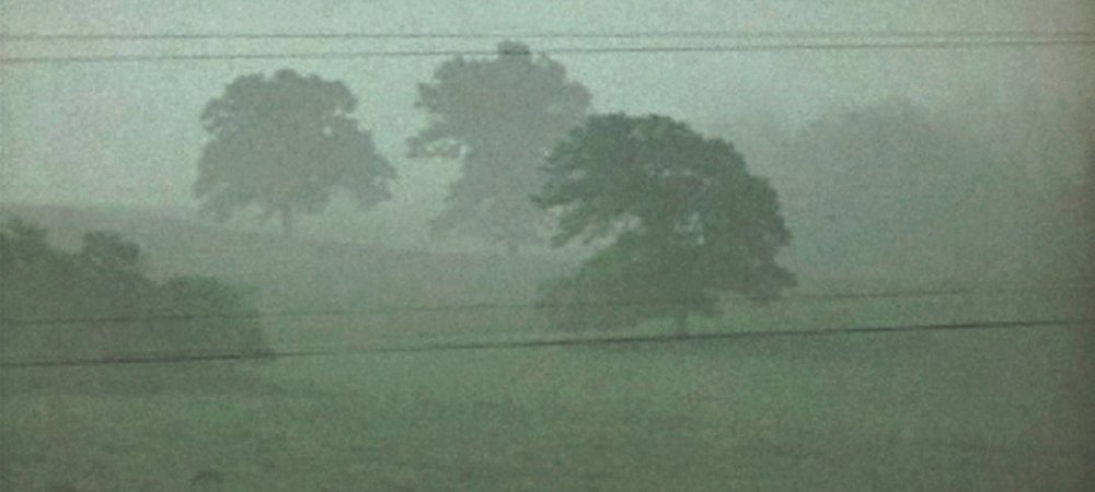 Backdrop of Fog Line