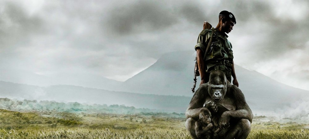 Backdrop of Virunga