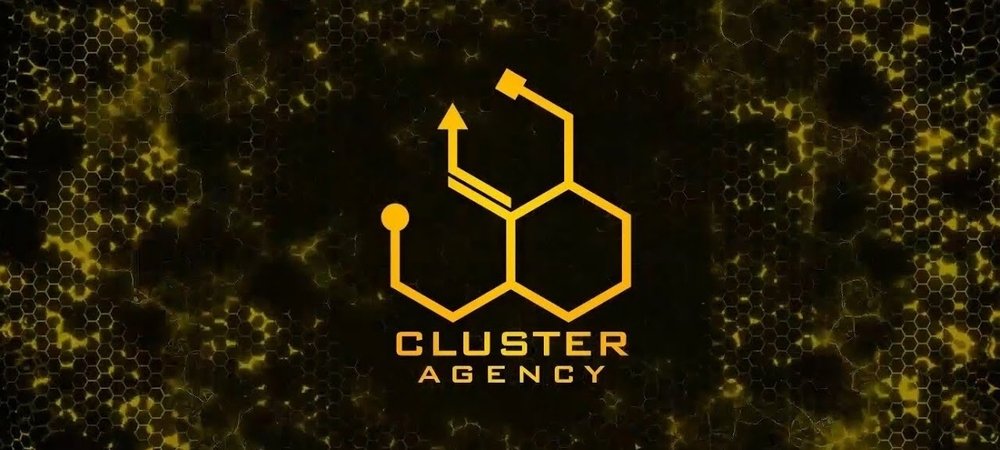 Backdrop of Cluster Agency