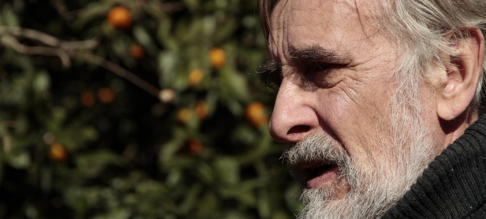 Backdrop of Tangerines