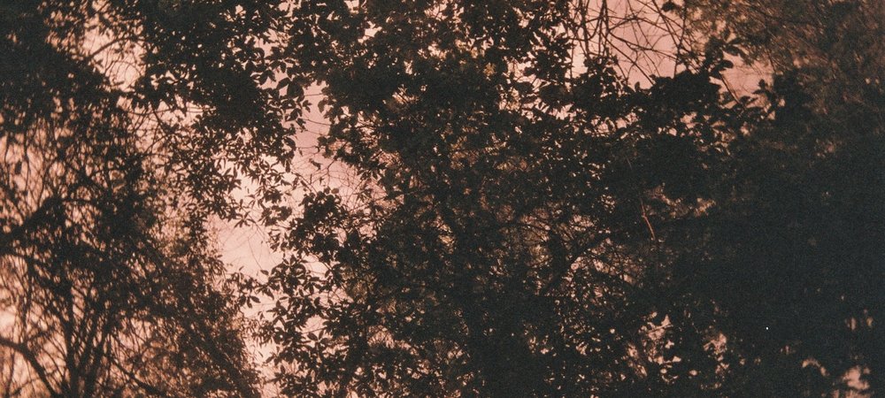Backdrop of Palindrome