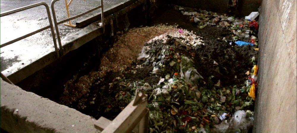 Backdrop of Waste Not
