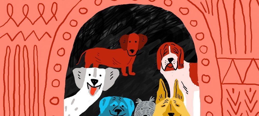 Backdrop of Life of a Mutt