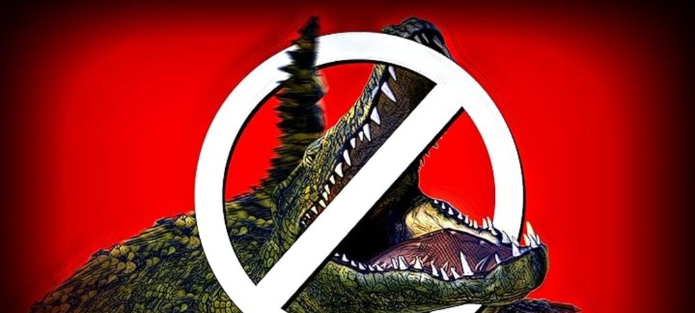 Backdrop of Bad CGI Gator