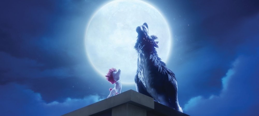 Backdrop of 100% Wolf