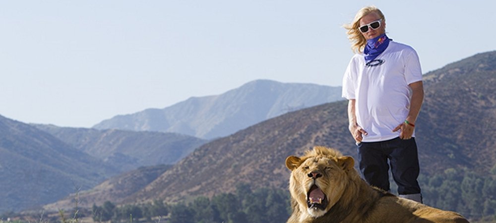 Backdrop of Like A Lion