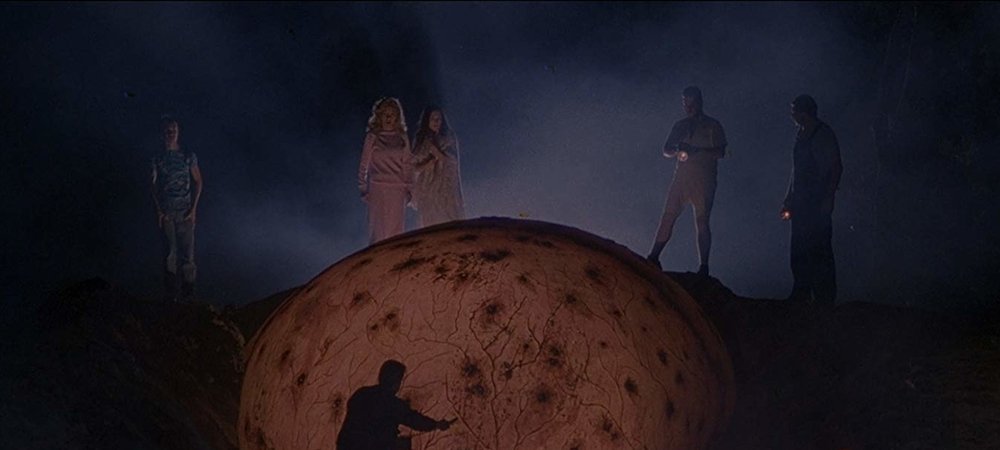 Backdrop of The Curse