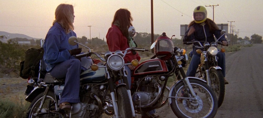 Backdrop of Cycle Vixens
