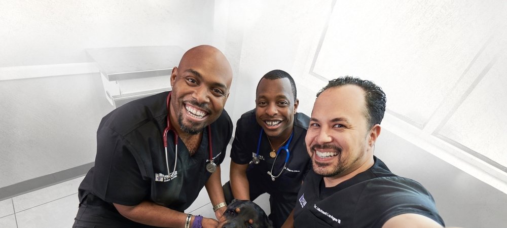 Backdrop of The Vet Life