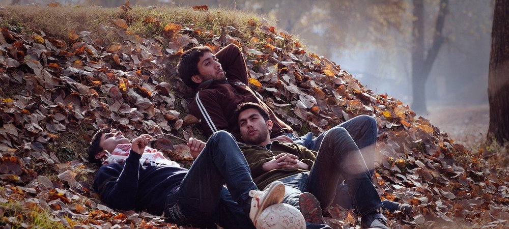Backdrop of Autumn