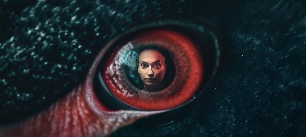 Backdrop of The Black Swan