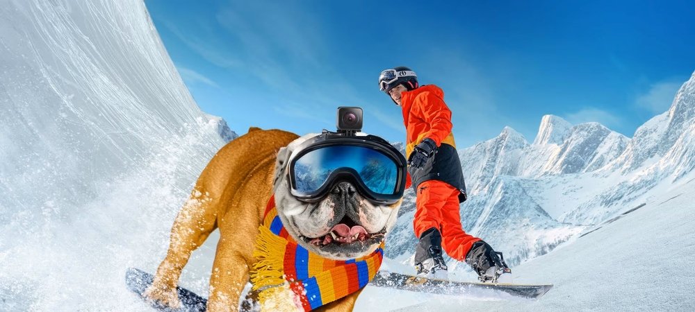 Backdrop of Powder Pup