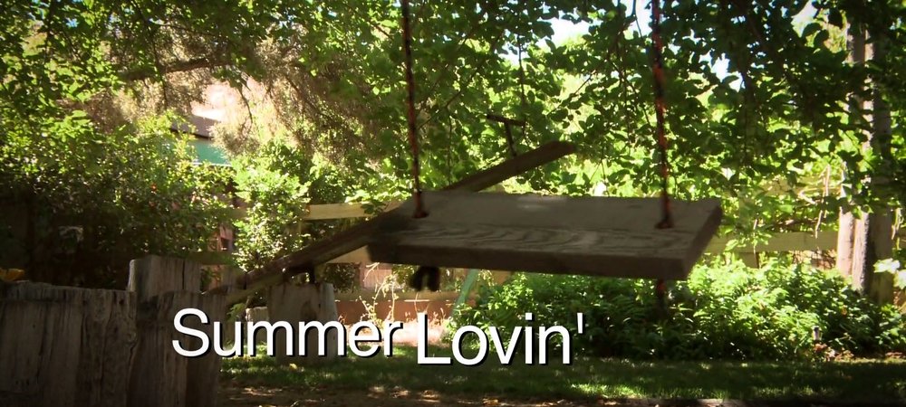 Backdrop of Summer Lovin'
