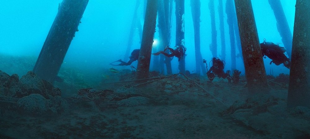 Backdrop of Reef Wrecks