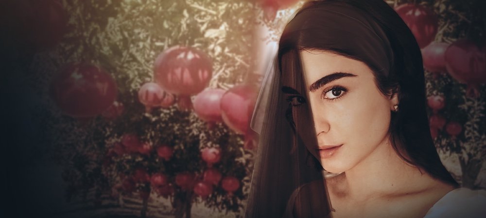 Backdrop of Pomegranate