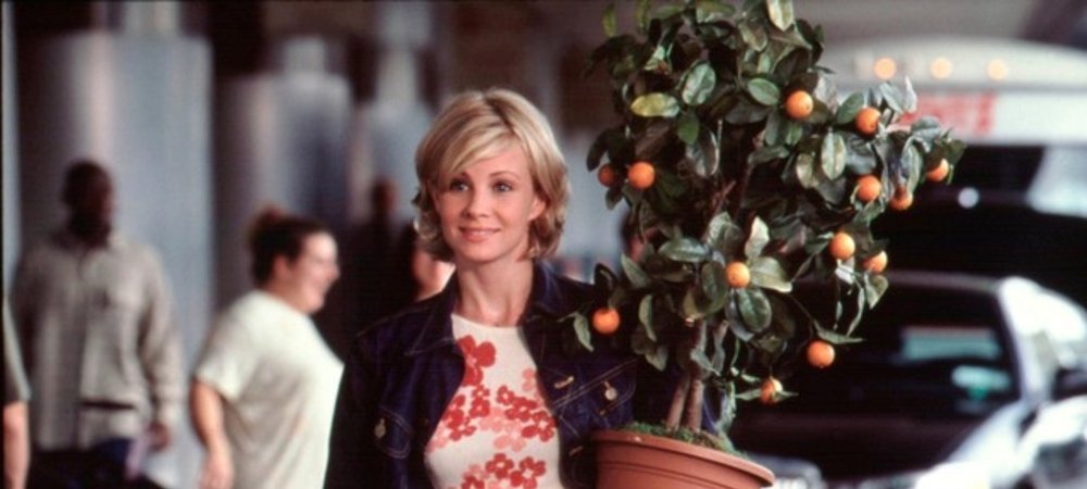 Backdrop of I'm with Lucy