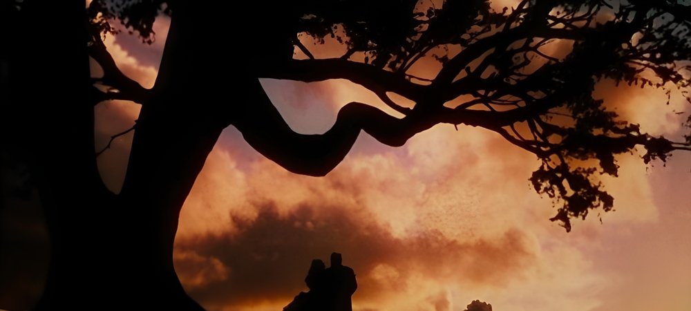 Backdrop of Gone with the Wind