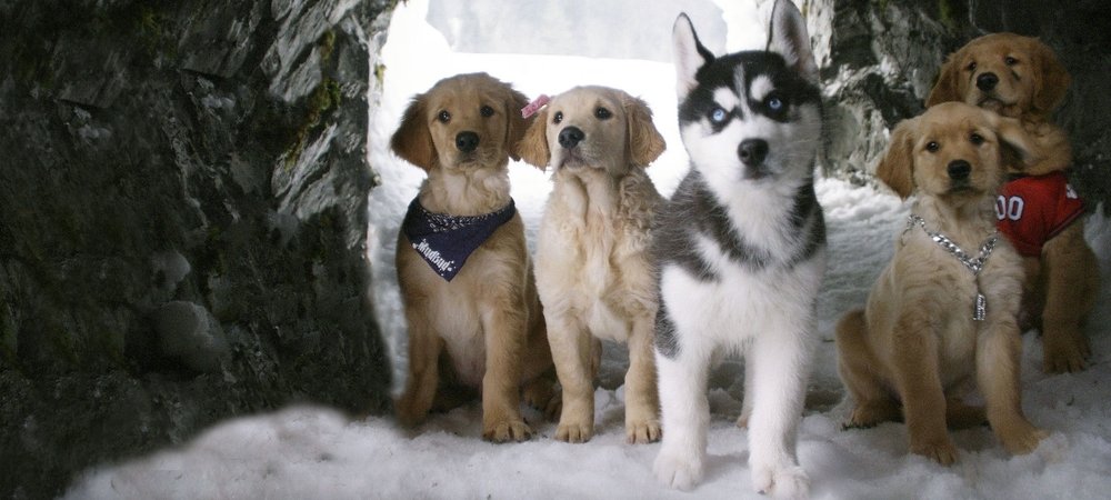 Backdrop of Snow Buddies