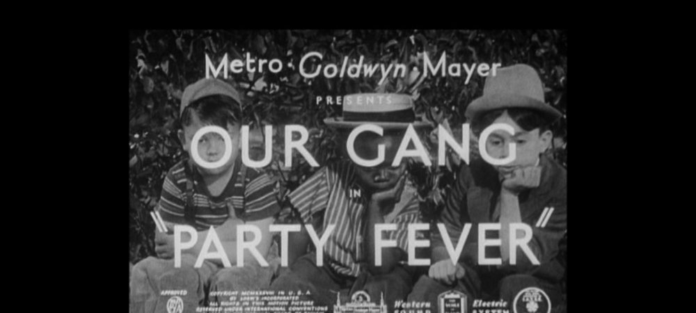 Backdrop of Party Fever