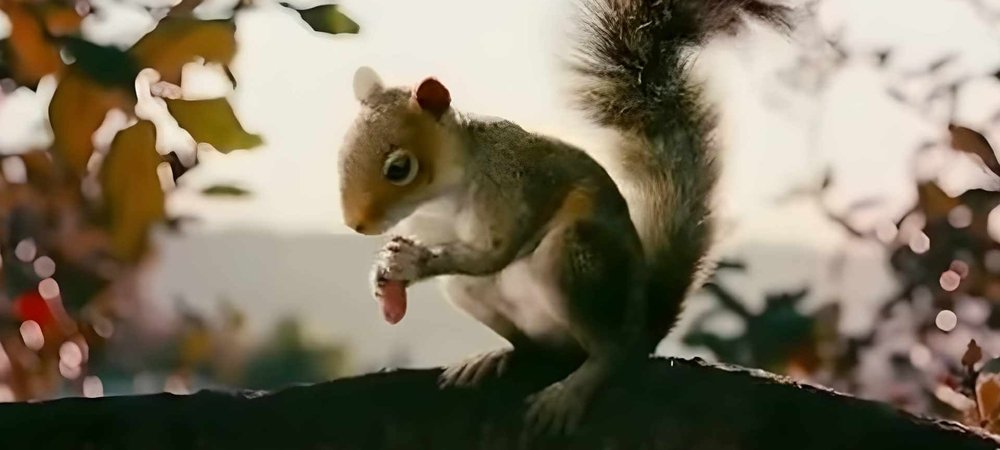 Backdrop of Squirrels