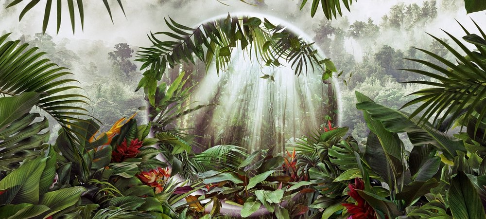 Backdrop of The Green Planet