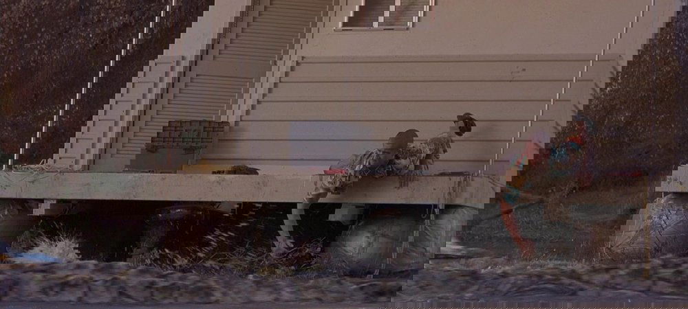 Backdrop of Crocodile