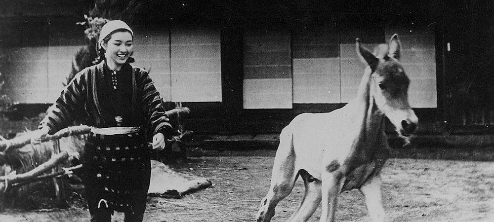 Backdrop of Horse