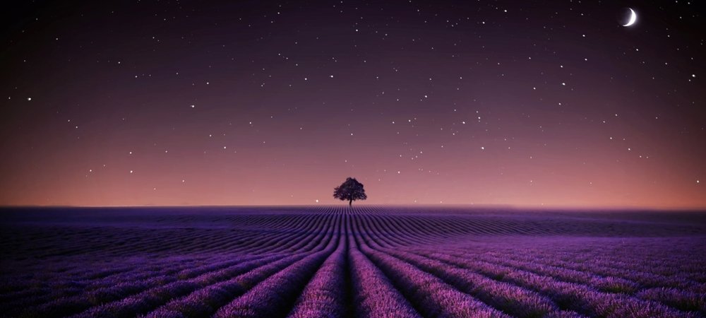 Backdrop of Adieu Aurora