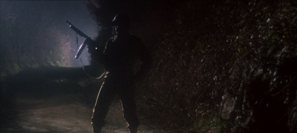 Backdrop of Zone Troopers