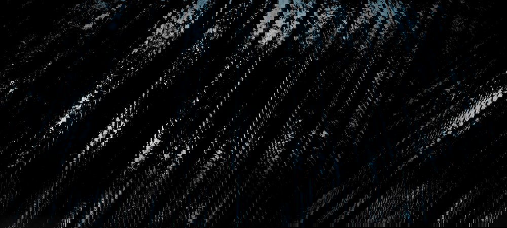 Backdrop of Mimic