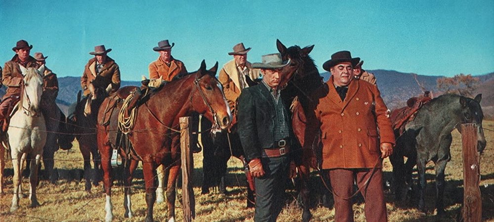 Backdrop of Cattle King