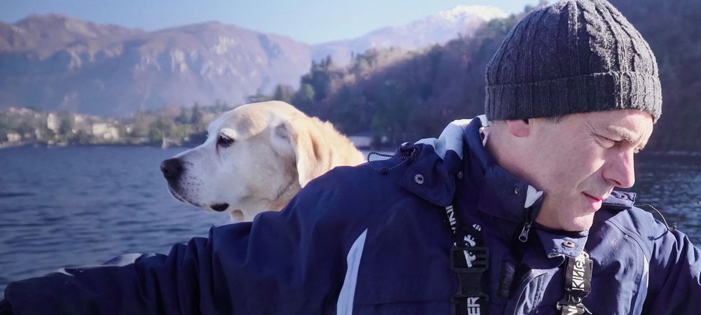 Backdrop of Dogs