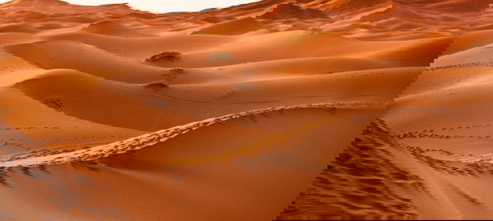 Backdrop of Moses