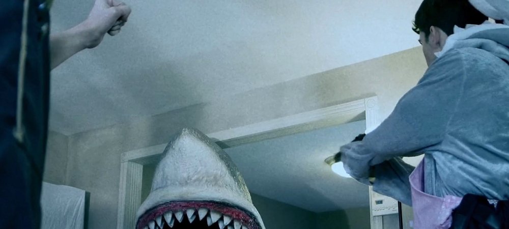 Backdrop of House Shark