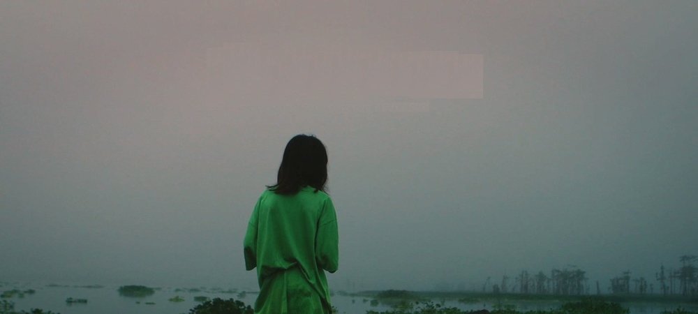 Backdrop of Crocodile